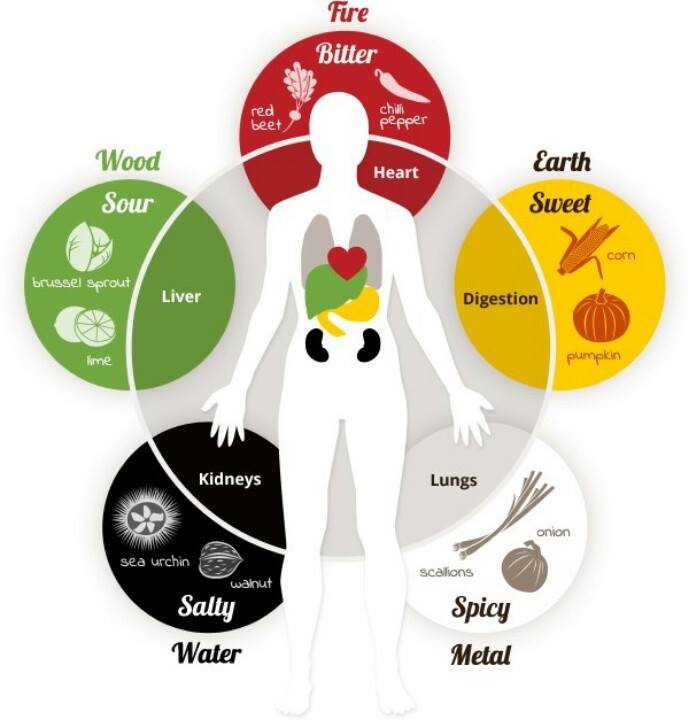 Traditional Chinese Medicine - the Five Elements